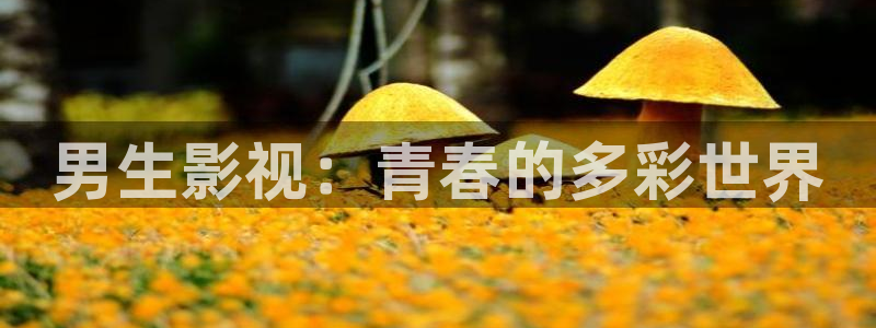 金牌影视官方入口在线观看