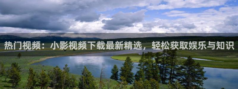 金牌影视官网入口最新