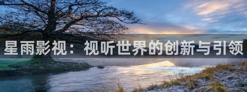 金牌影院网站：星雨影视：视听世界的创新与引领