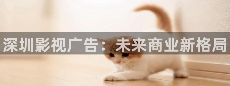 金牌影院电视剧免费播放在线观看：深圳影视广告：未来商业新格局