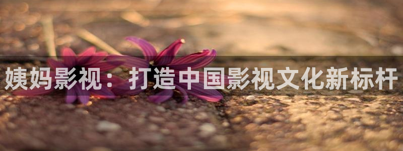 金牌影音
