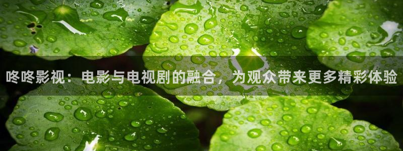 金牌电影在线播放免费视频：咚咚影视：电影与电视剧的融合，为观众带来更多精彩体验